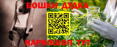 Альфа ПВП Кандалакша