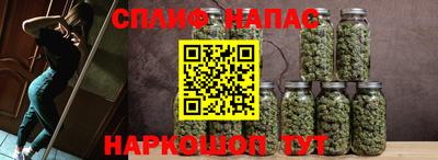 Альфа ПВП Кандалакша