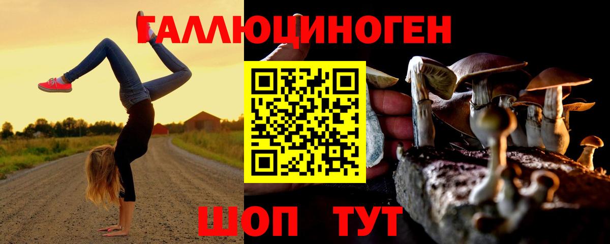 Псилоцибиновые грибы Magic Shrooms Гулькевичи